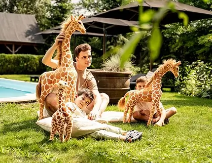 Grandi giraffe di peluche